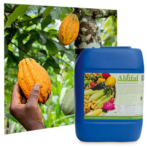 Algifol™ for tobacco, cocoa and rice