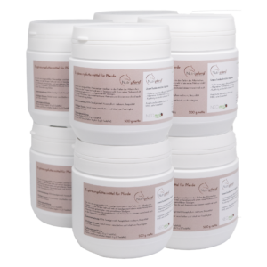 Nutripferd – 12 Monats-Kur